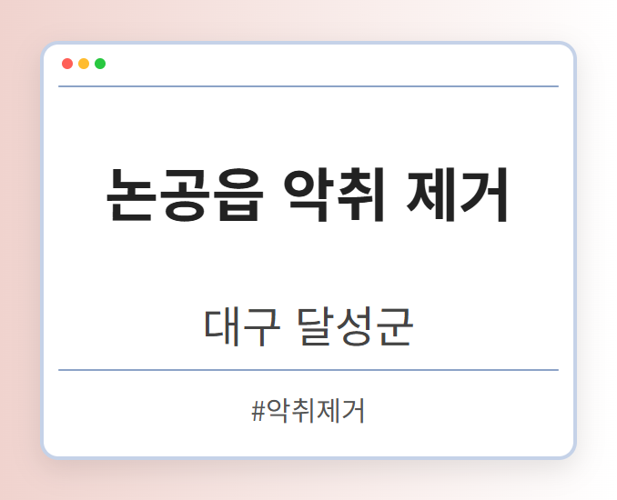 논공읍 악취 제거 - 대구 달성군 논공읍 악취 제거 전문업체