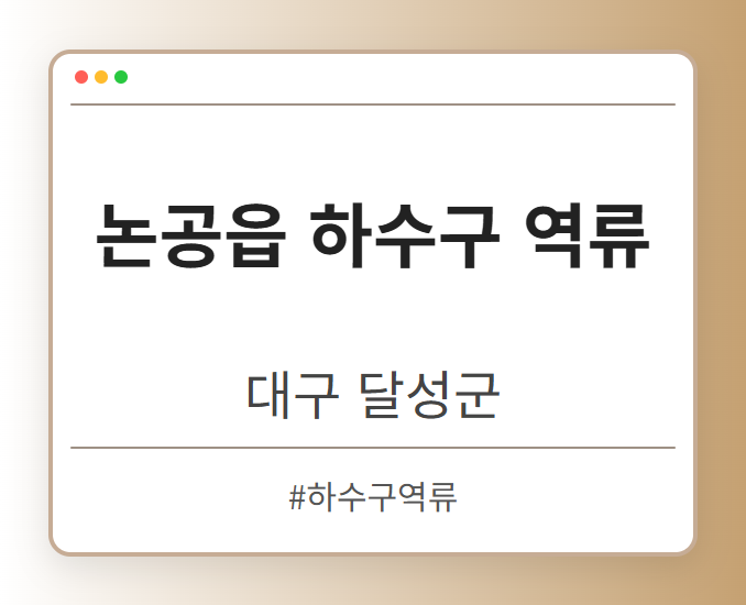 논공읍 하수구 역류 - 대구 달성군 논공읍 하수구 역류 전문업체