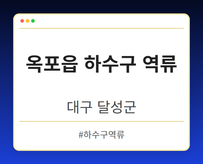 옥포읍 하수구 역류 - 대구 달성군 옥포읍 하수구 역류 전문업체
