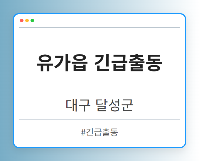 유가읍 긴급출동 - 대구 달성군 유가읍 긴급출동 전문업체