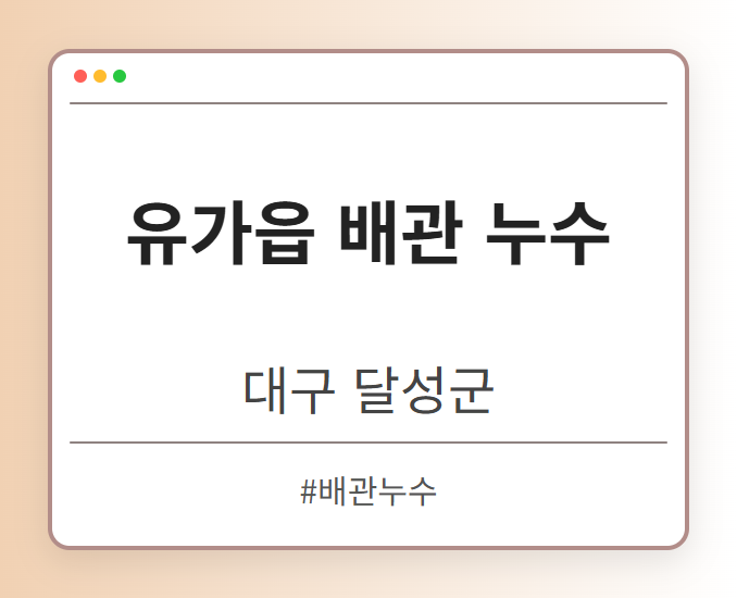 유가읍 배관 누수 - 대구 달성군 유가읍 배관 누수 전문업체