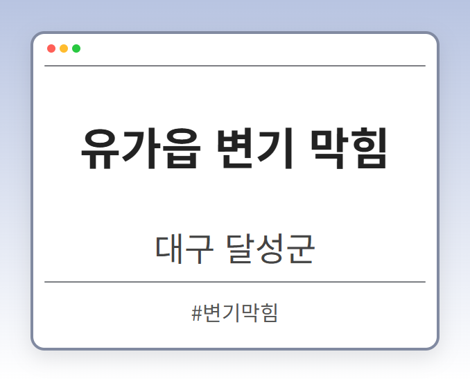 유가읍 변기 막힘 - 대구 달성군 유가읍 변기 막힘 전문업체