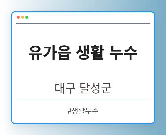 유가읍 생활 누수 - 대구 달성군 유가읍 생활 누수 전문업체