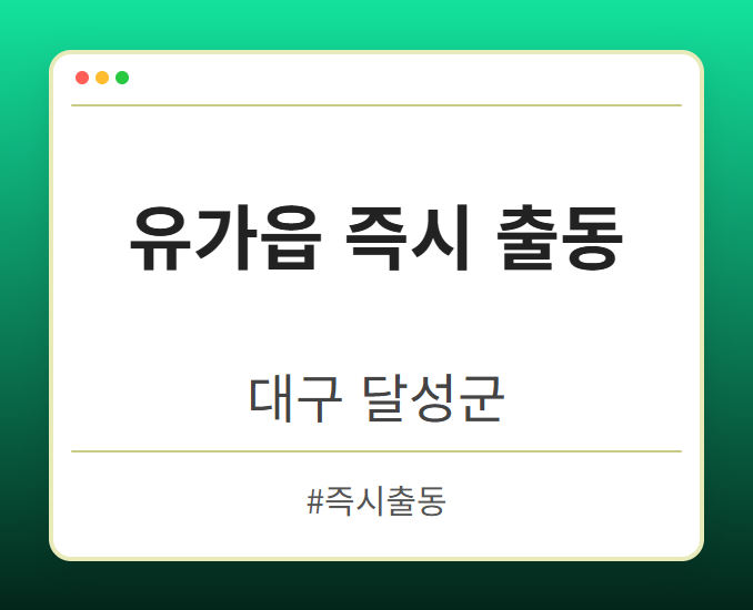 유가읍 즉시 출동 - 대구 달성군 유가읍 즉시 출동 전문업체
