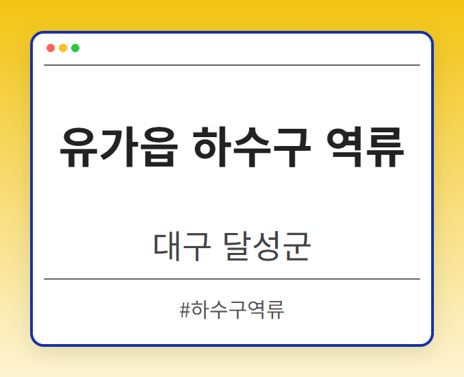 유가읍 하수구 역류 - 대구 달성군 유가읍 하수구 역류 전문업체